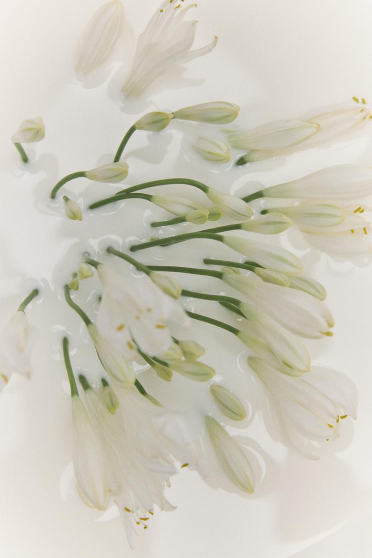 Heavenly Blanc Parfum 80ml